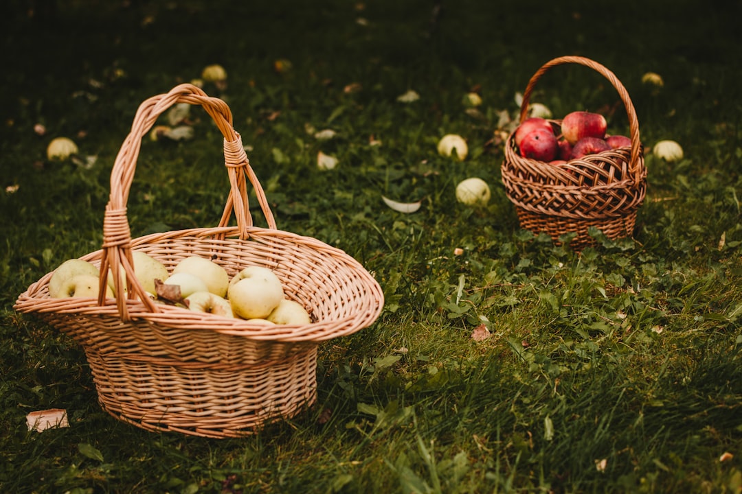 Quick and Easy Pick: Simplify Your Life Today!